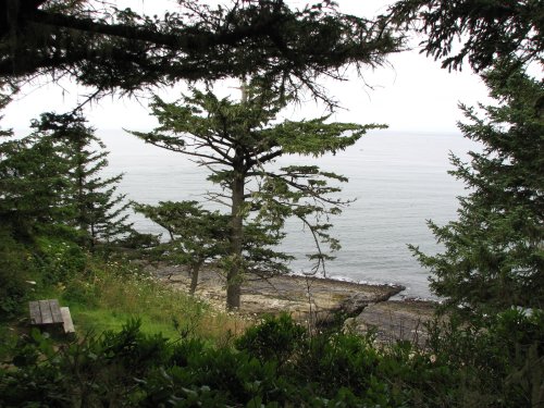 Nice picnic place